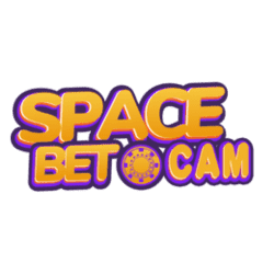 large print sudoku free
