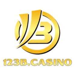 what does sudoku mean
